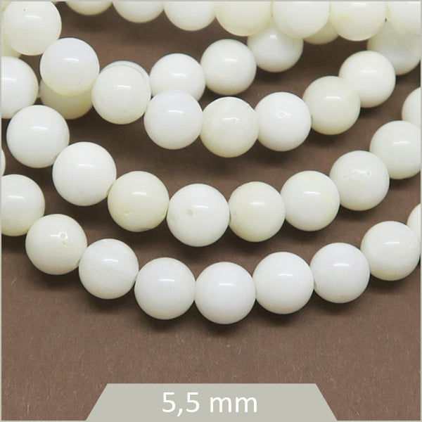 Env. 75 perles rondes de coquillage 5,5 mm, blanc cassé