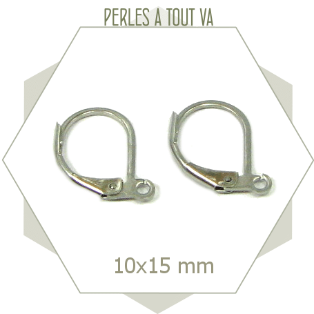 12 dormeuses boucles d'oreilles en acier inox