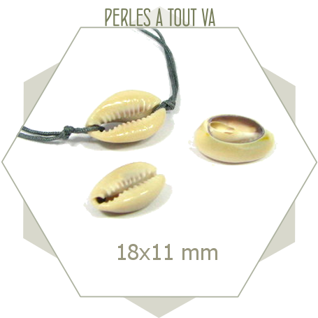 15 connecteurs coquillages cauri