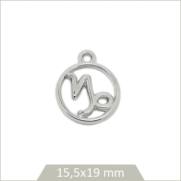 1 breloque astrologie signe Capricorne en acier inoxydable